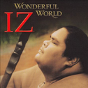 Wonderful World专辑
