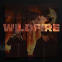 WILDFIRE专辑