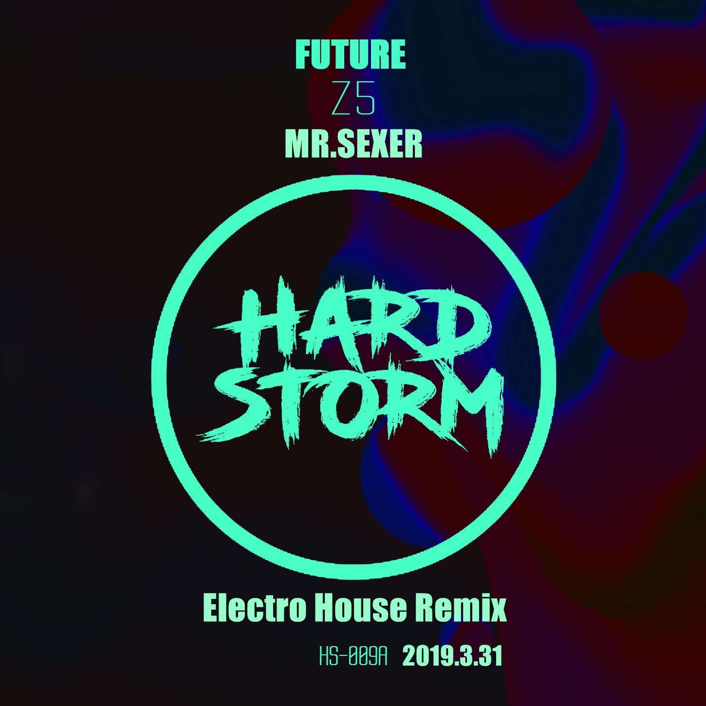 Future (Mr.Sexer Electro Remix)专辑