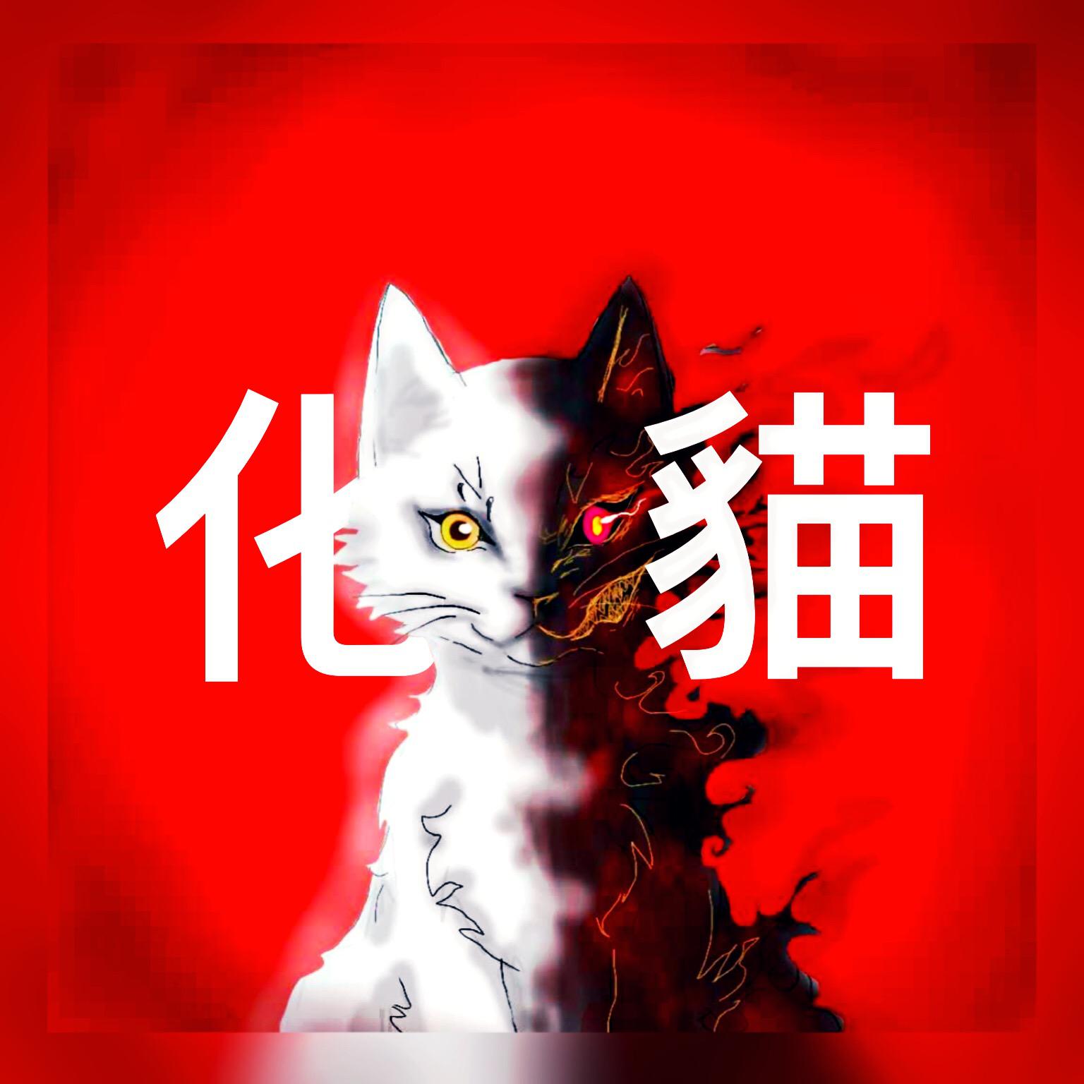 化猫专辑