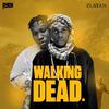 Ayox - Walking Dead