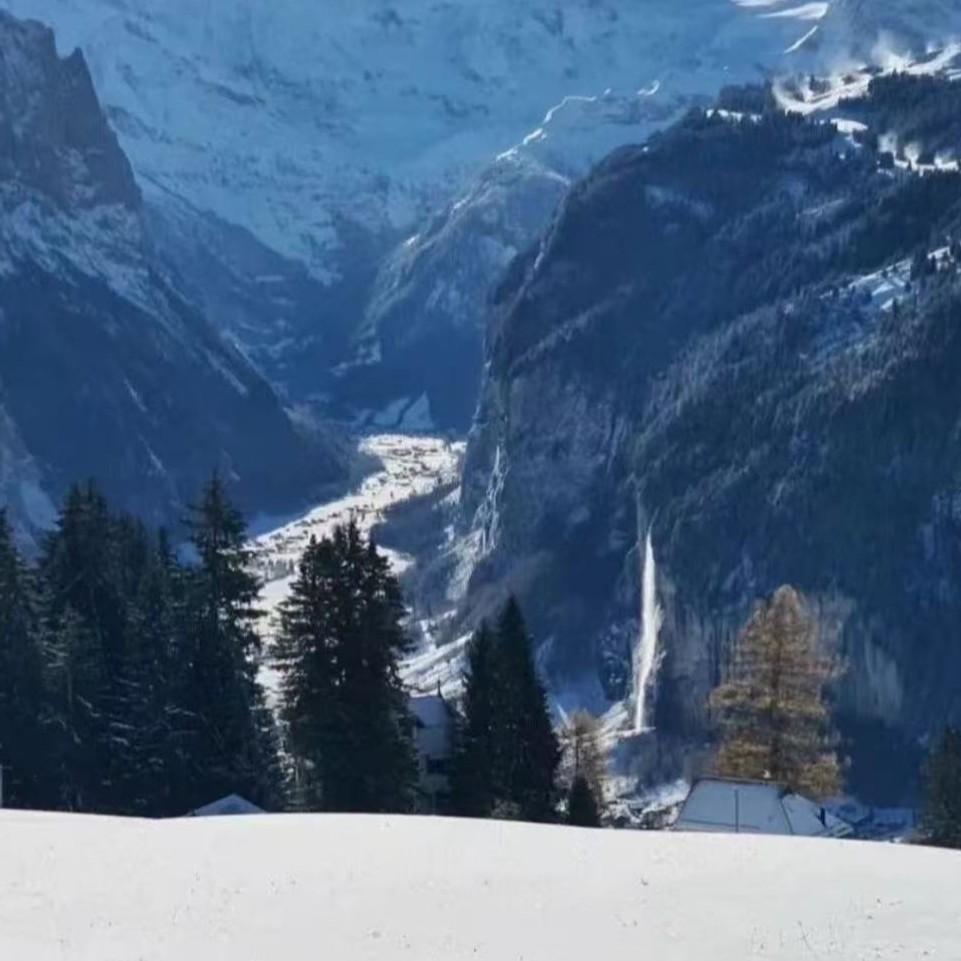 风吹的沙砾 洋澜一