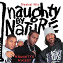 Greatest Hits: Naughty's Nicest专辑