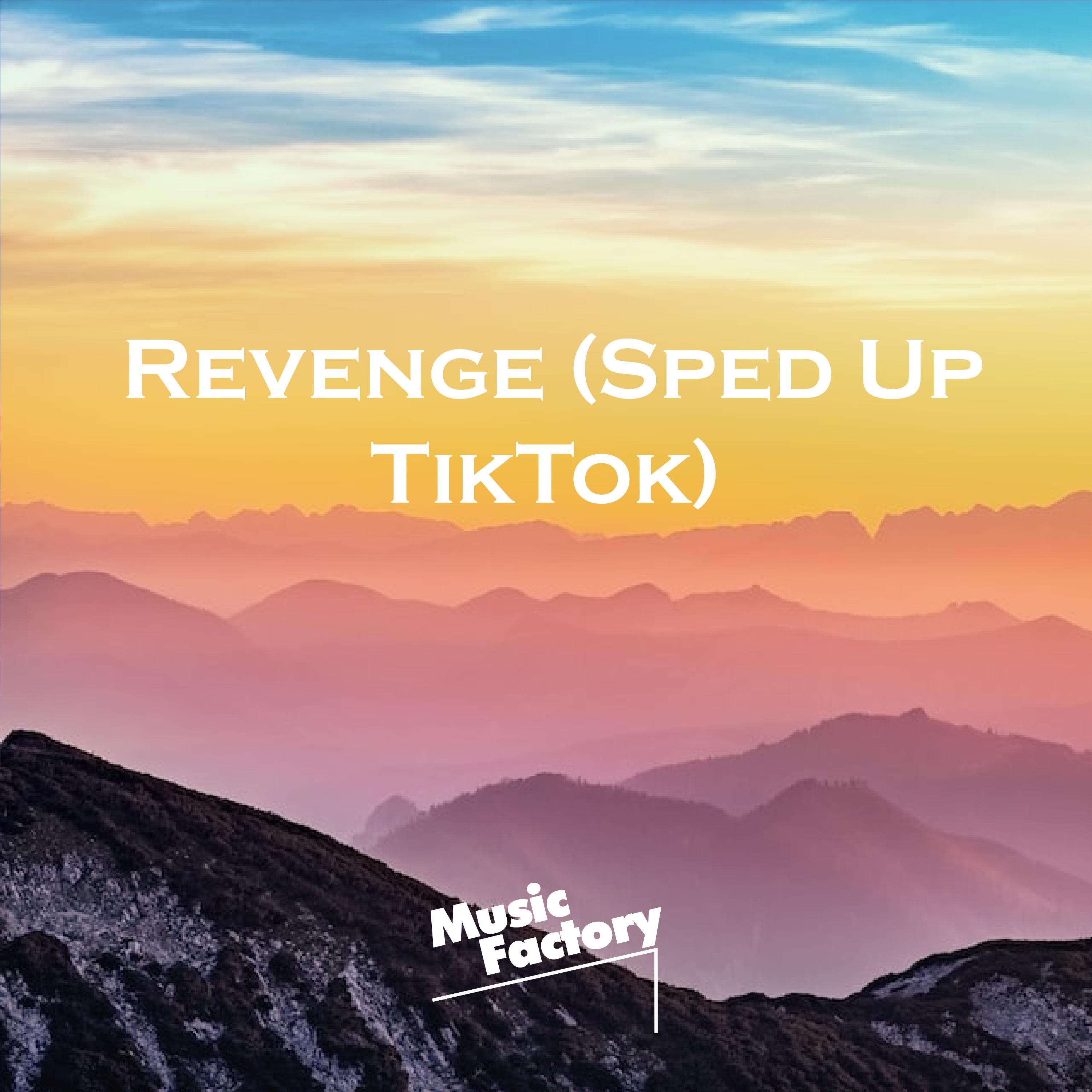 Revenge (Sped Up TikTok) [Remix]