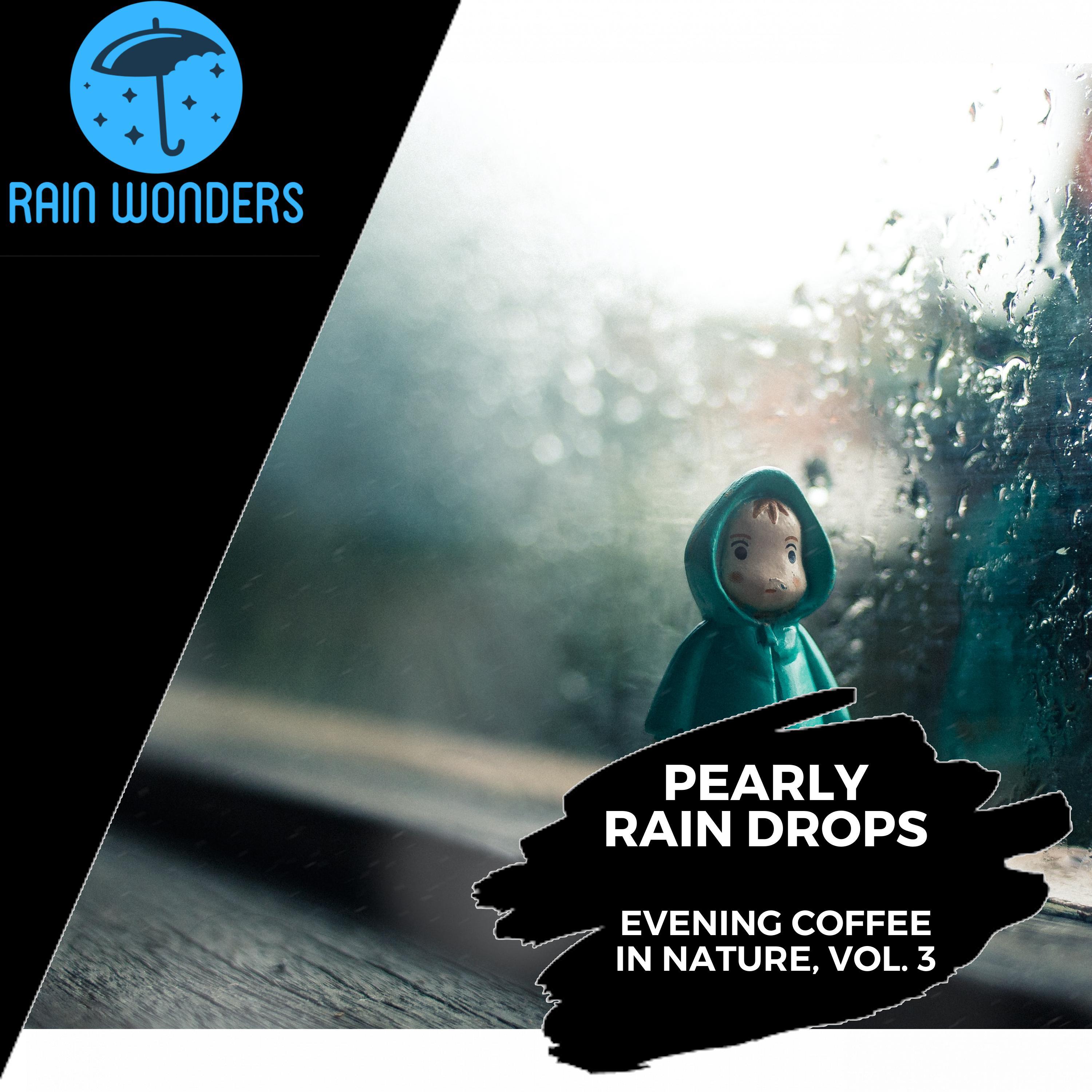 Hydro Rain Water Nature Music - Uninterrupted Rain Dripping