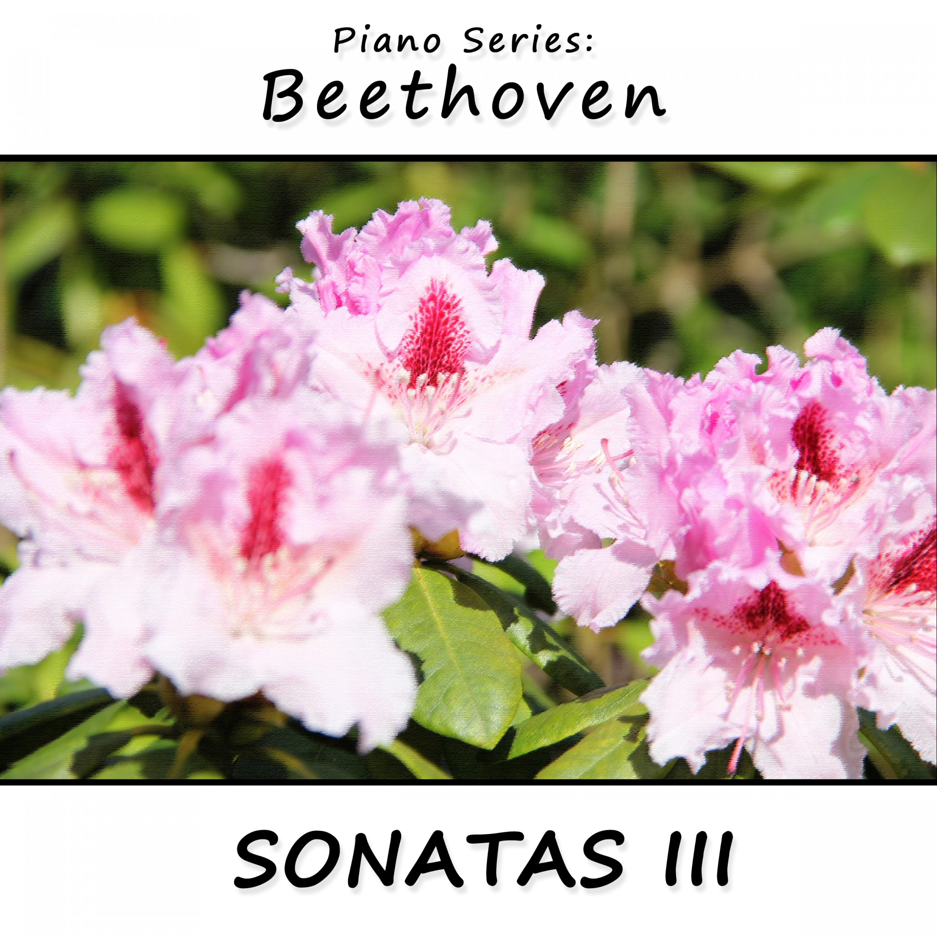 Piano Series: Beethoven
