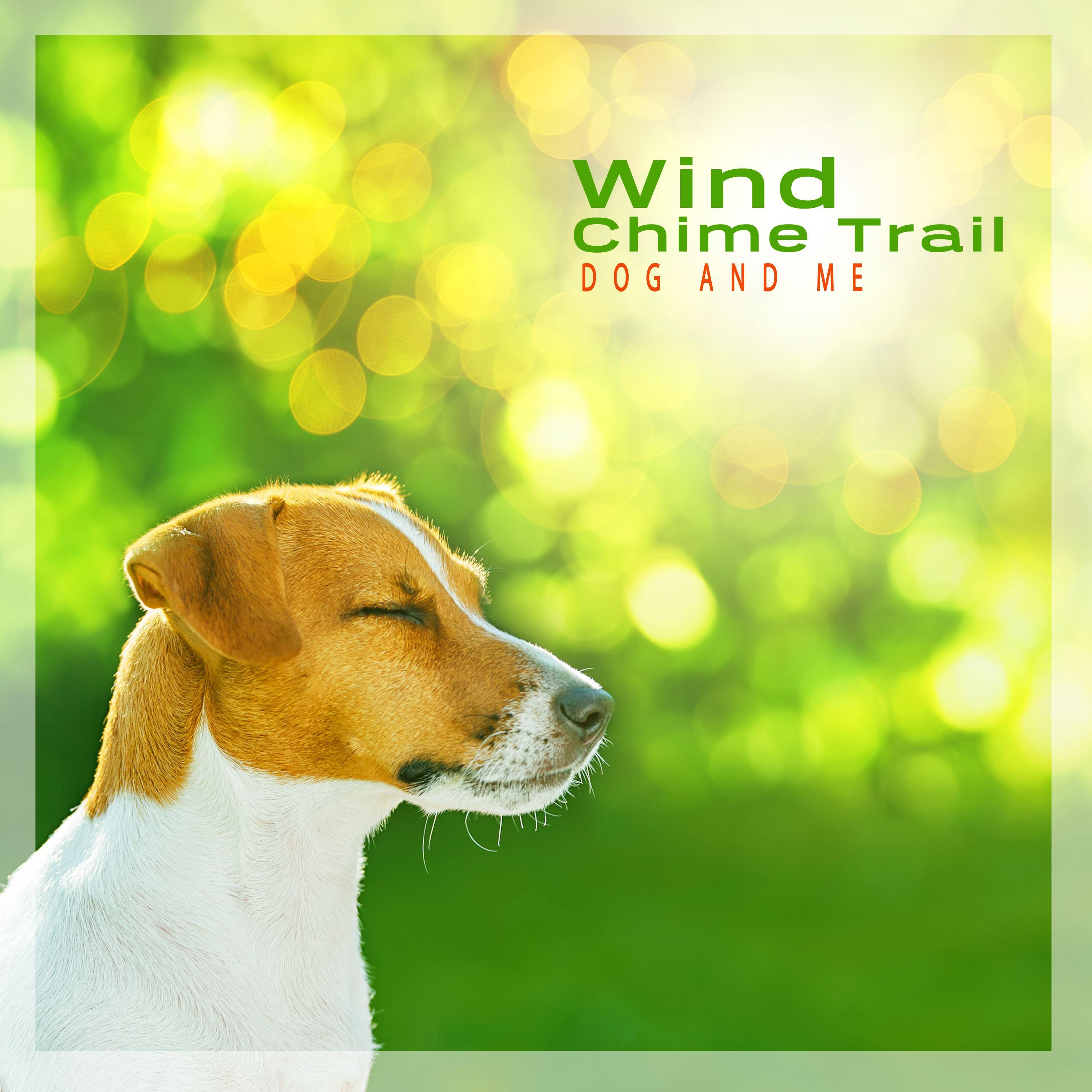 A Walk Filled with Breeze (哈喽，小鸡毛)