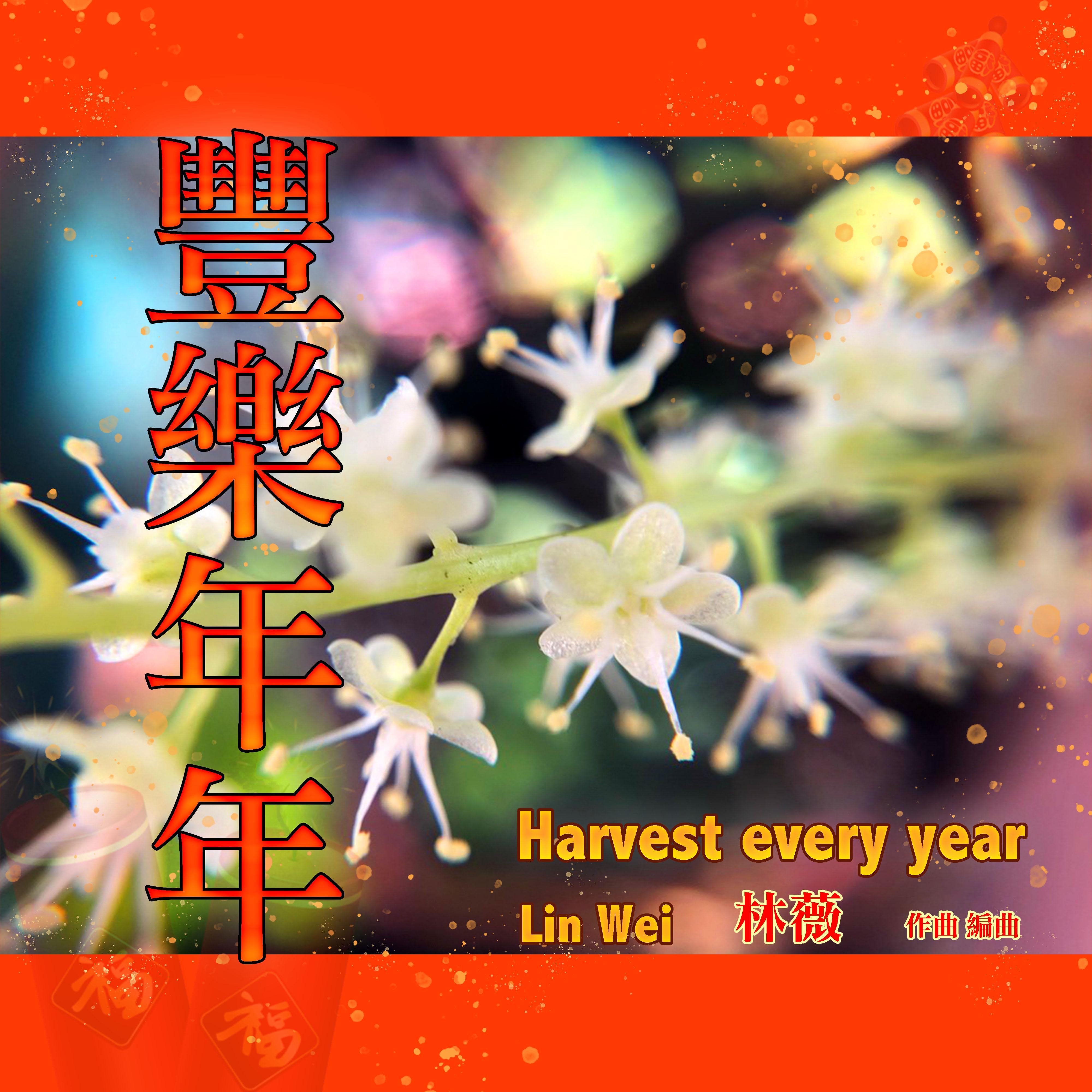 丰乐年年 (演奏版)