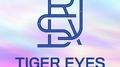류수정 1st Mini Album [Tiger Eyes]专辑