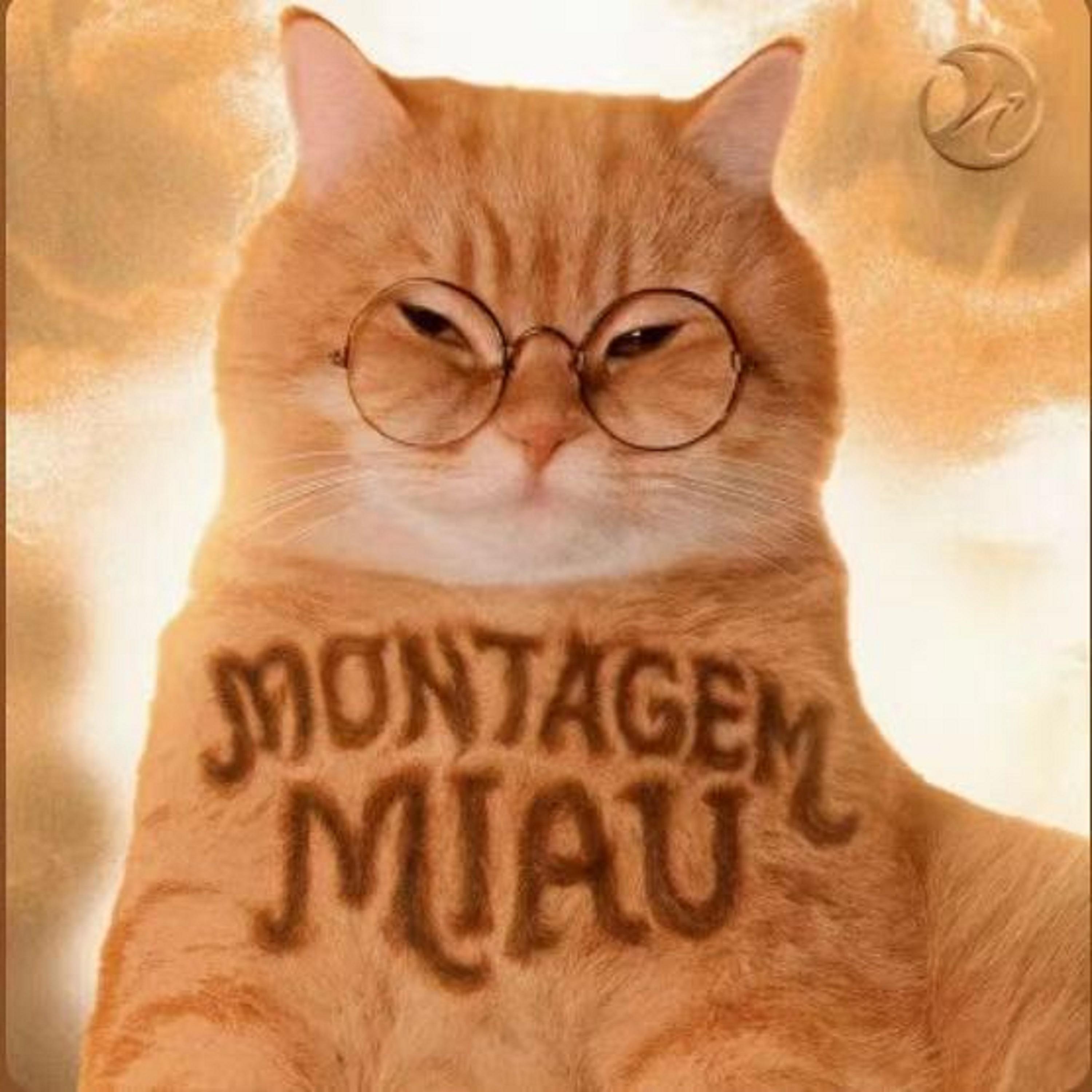 Montagem Miau(爱你的鼻孔喵喵)