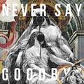 NEVER SAY GOODBYE