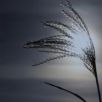 Eastern Michigan University Choir - Triptych: III. Heaven Distilled a Clemency (Live)