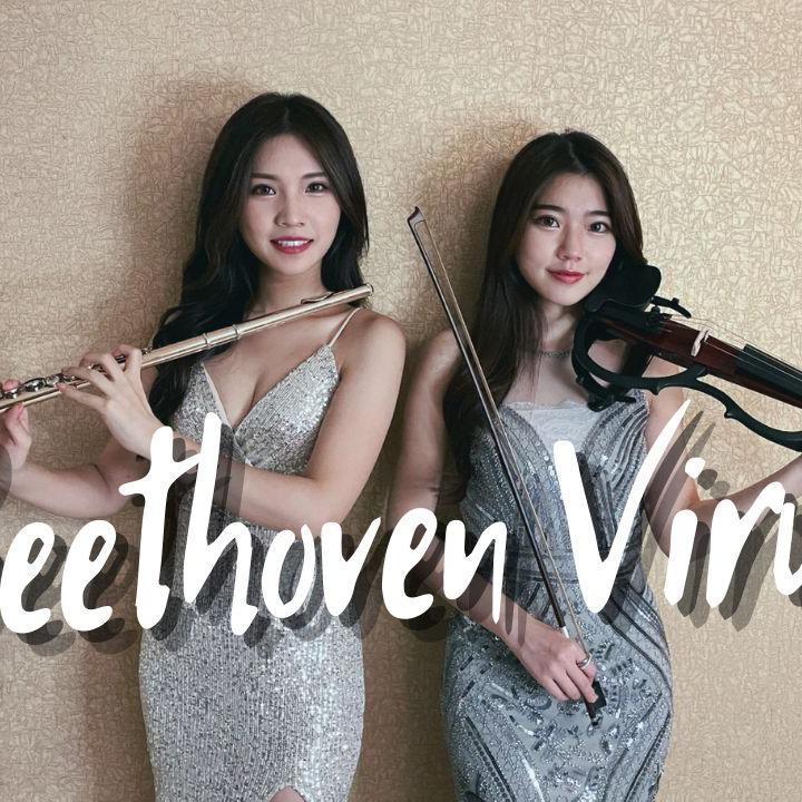 贝多芬病毒 Beethoven Virus