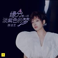 魏佳艺 - 缘分是一场淡紫色的梦 (带伴唱) 伴奏