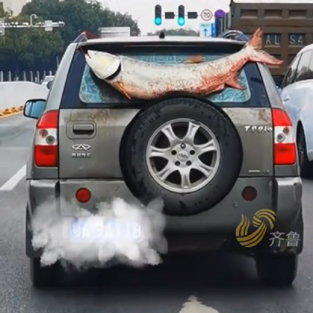 cover of episode 为什么钓到大鱼的人，总是找不到回家的路？
