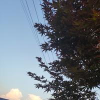 起风了