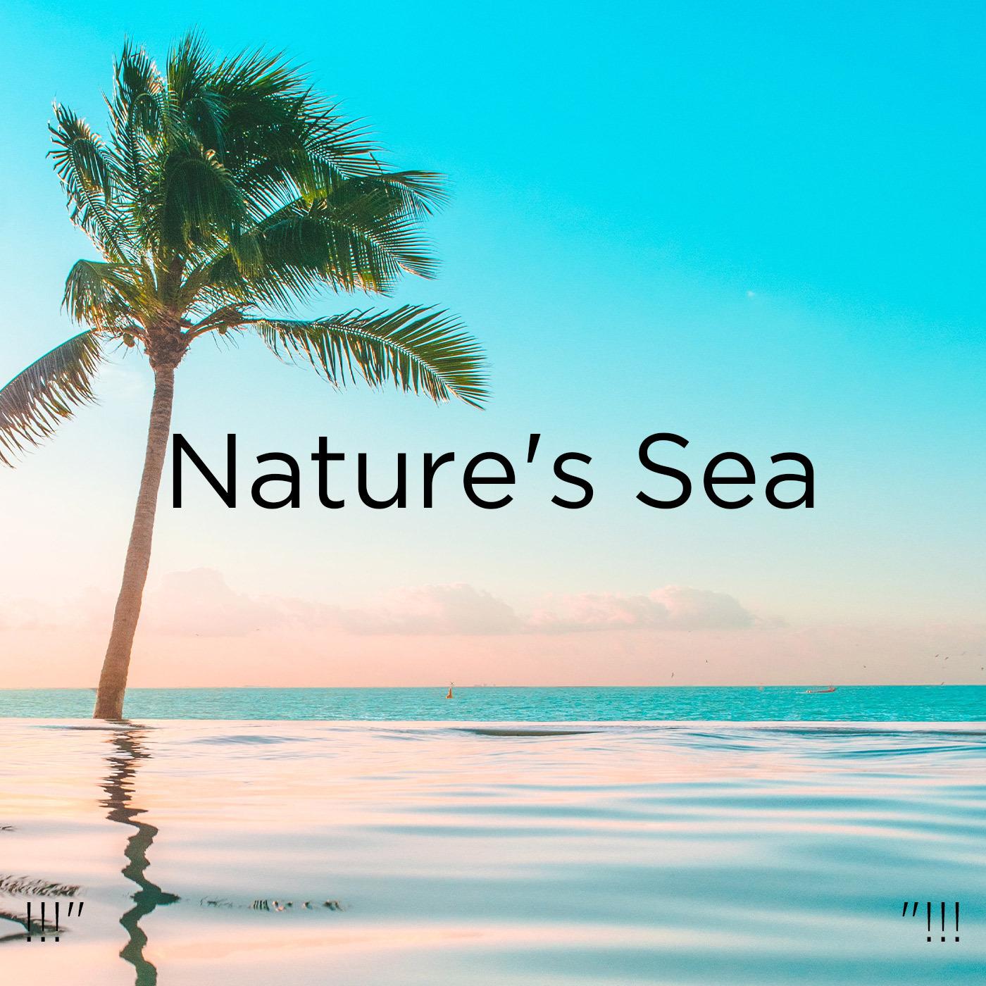 !!!" Nature's Sea "!!!