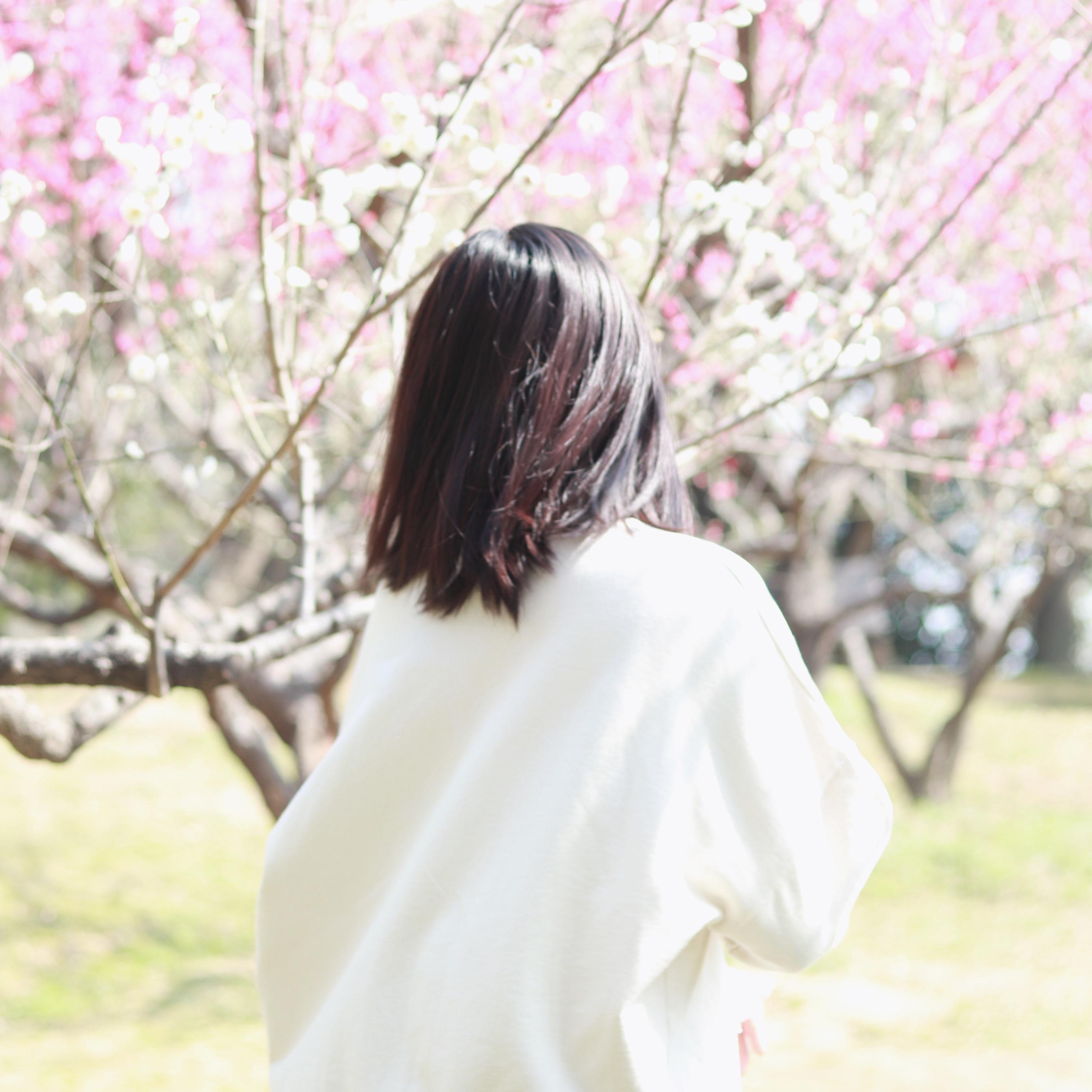 梦游