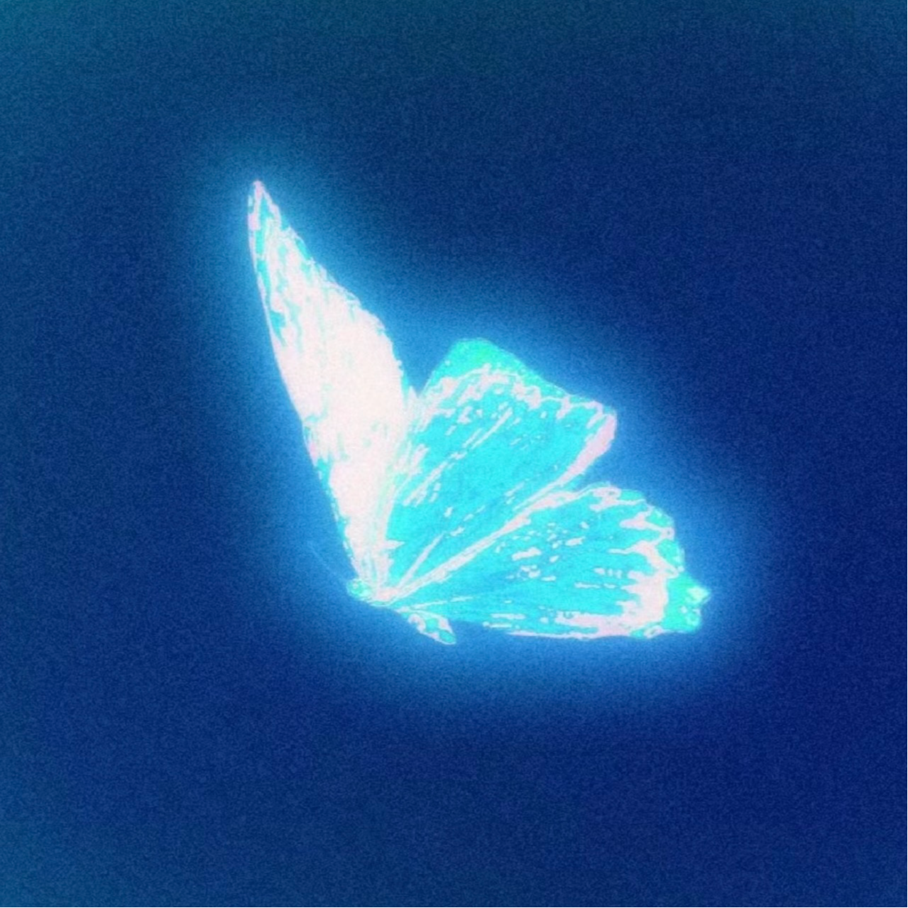 每我