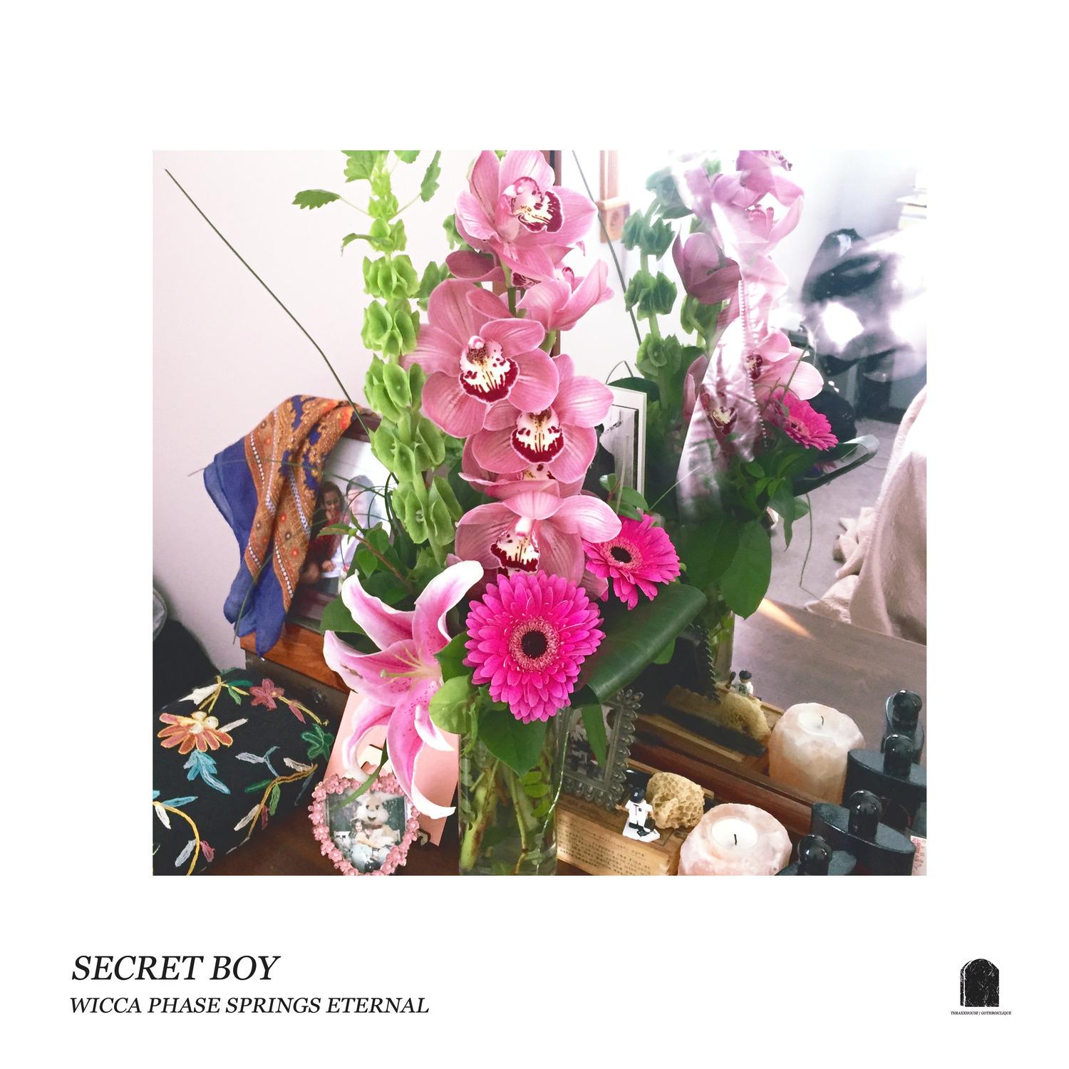 Secret Boy