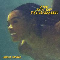 Janelle Monáe - Lipstick Lover (Pre-V) 带和声伴奏