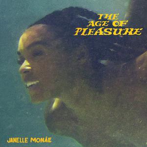 Janelle Monáe - Lipstick Lover (Karaoke Version) 带和声伴奏 （降7半音）