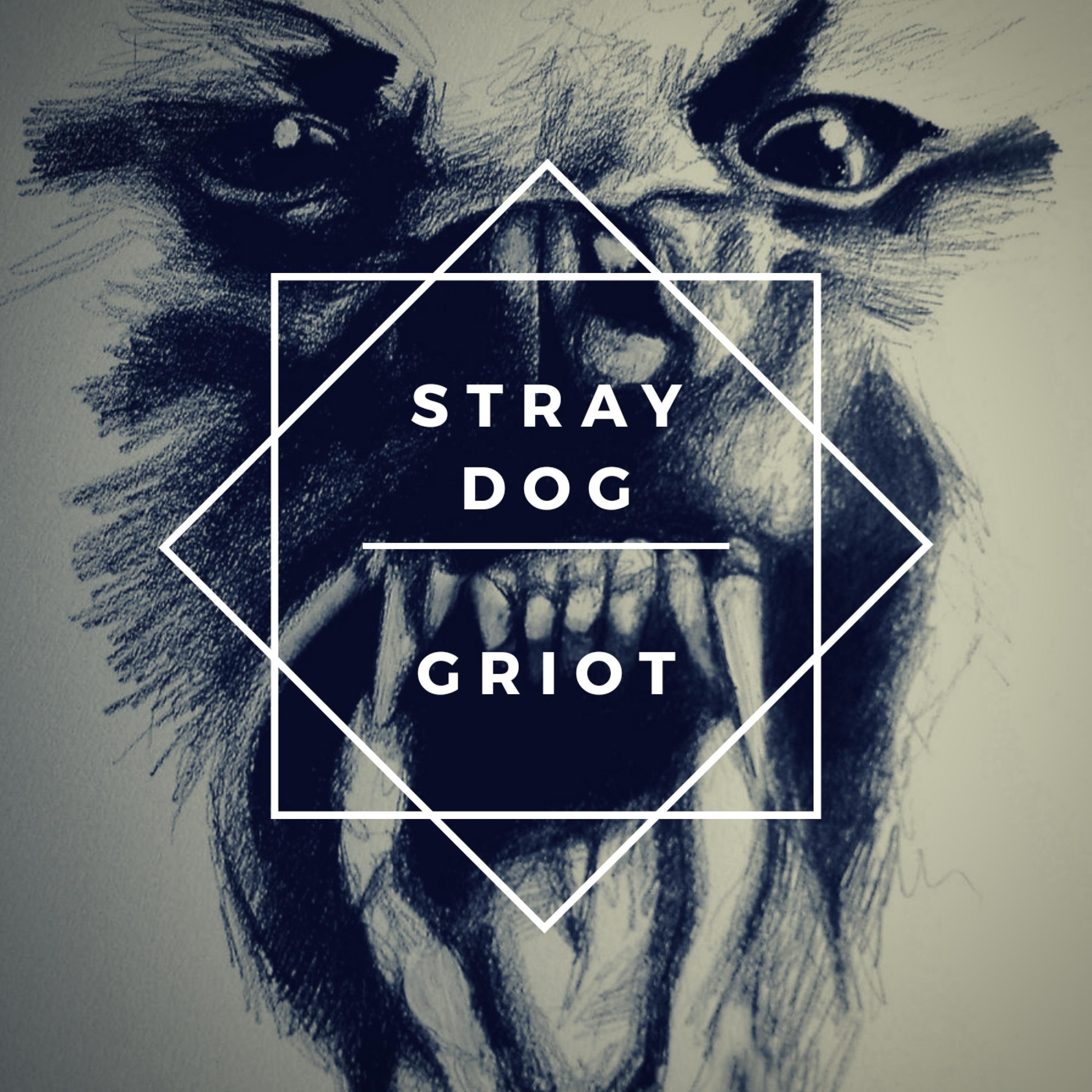 Stray Dog