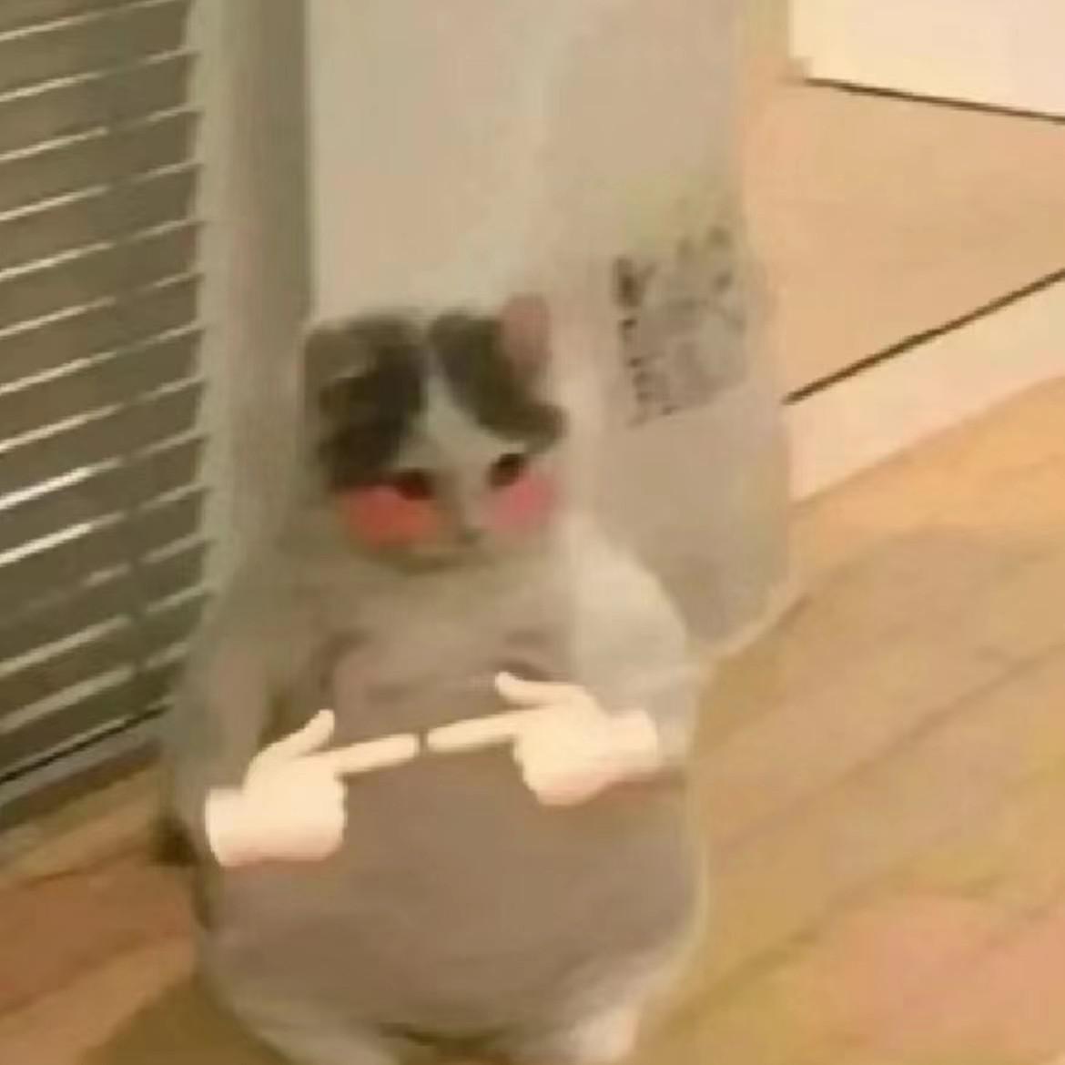 琵琶行