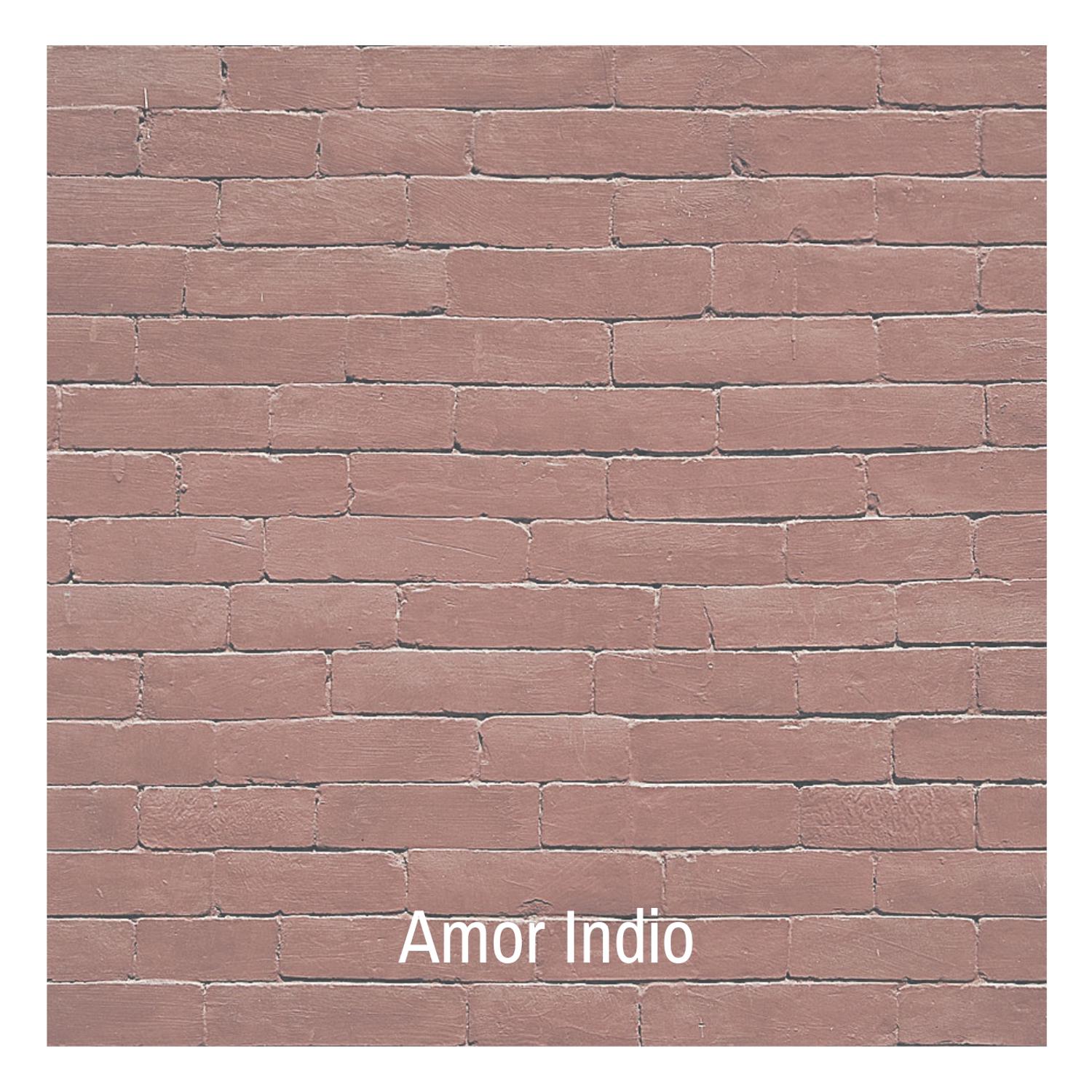 Amor Indio专辑