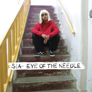 Eye of the Needle - Sia (钢琴伴奏) （降5半音）