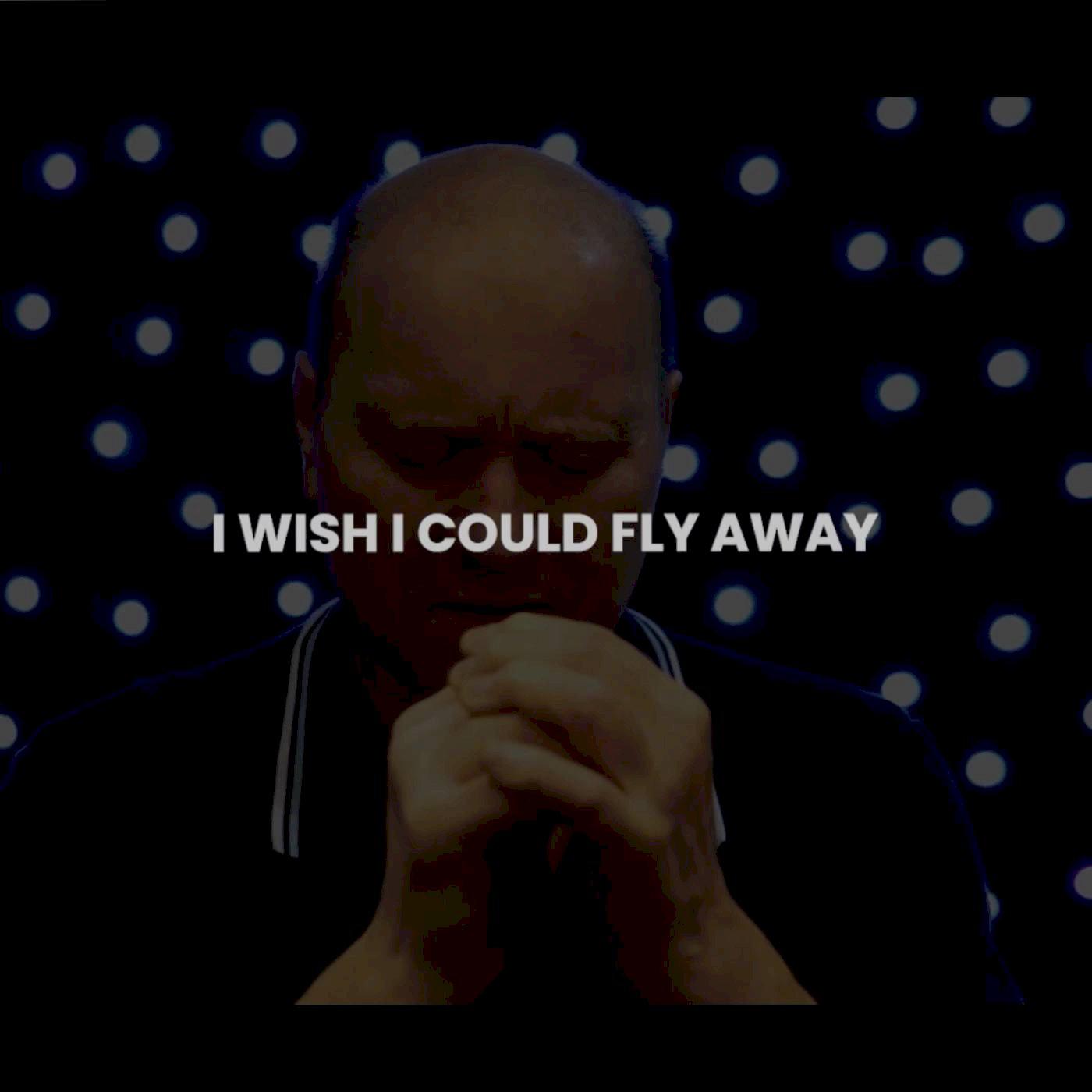 Paul Stroud - I Wish I Could Fly Away