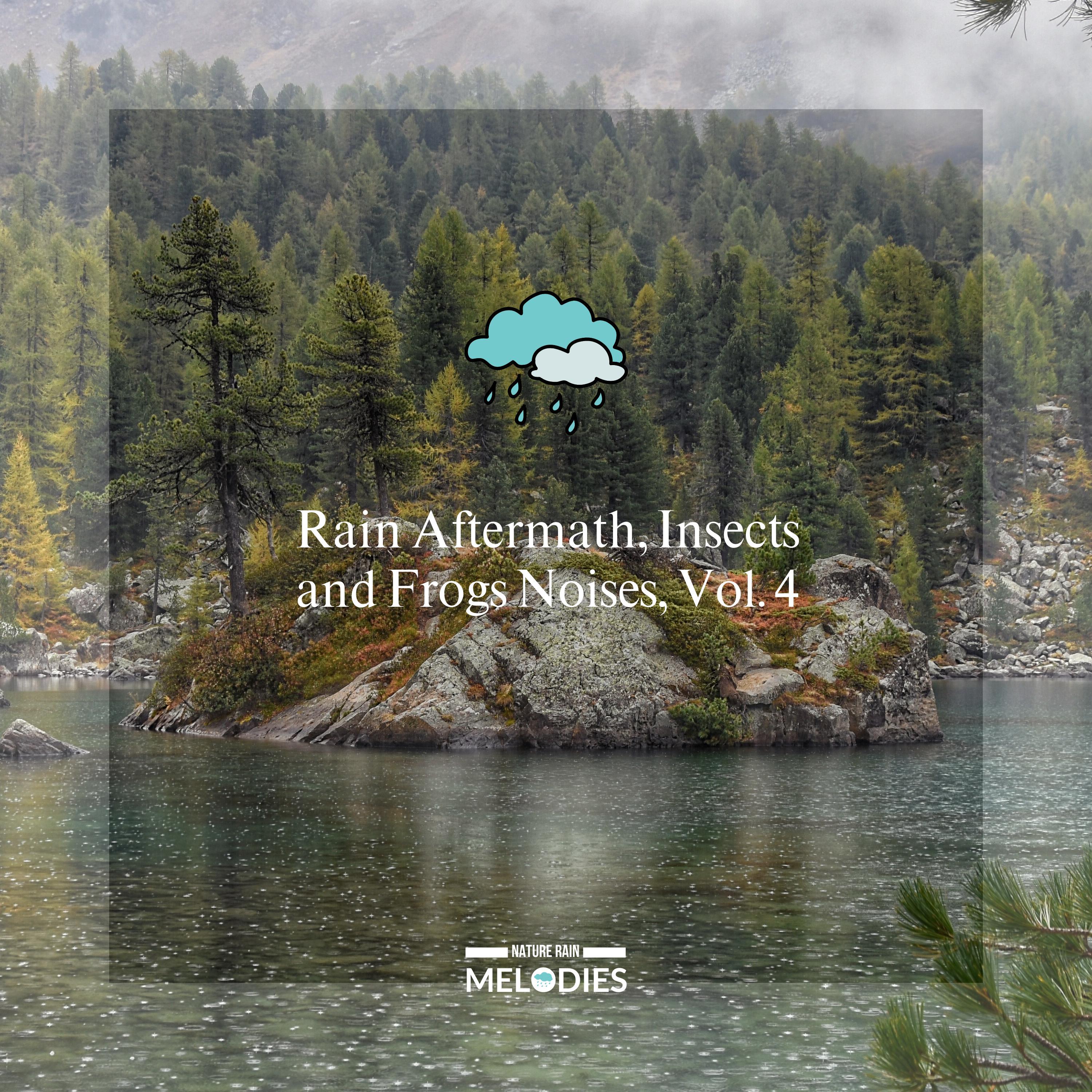 Rocco Kitanovski Green Club - Lofty Distant Waterfall