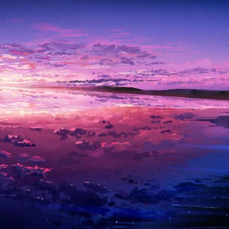 枯木与海