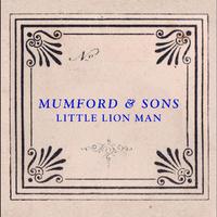 Mumford and Sons - Little Lion Man ( Karaoke )
