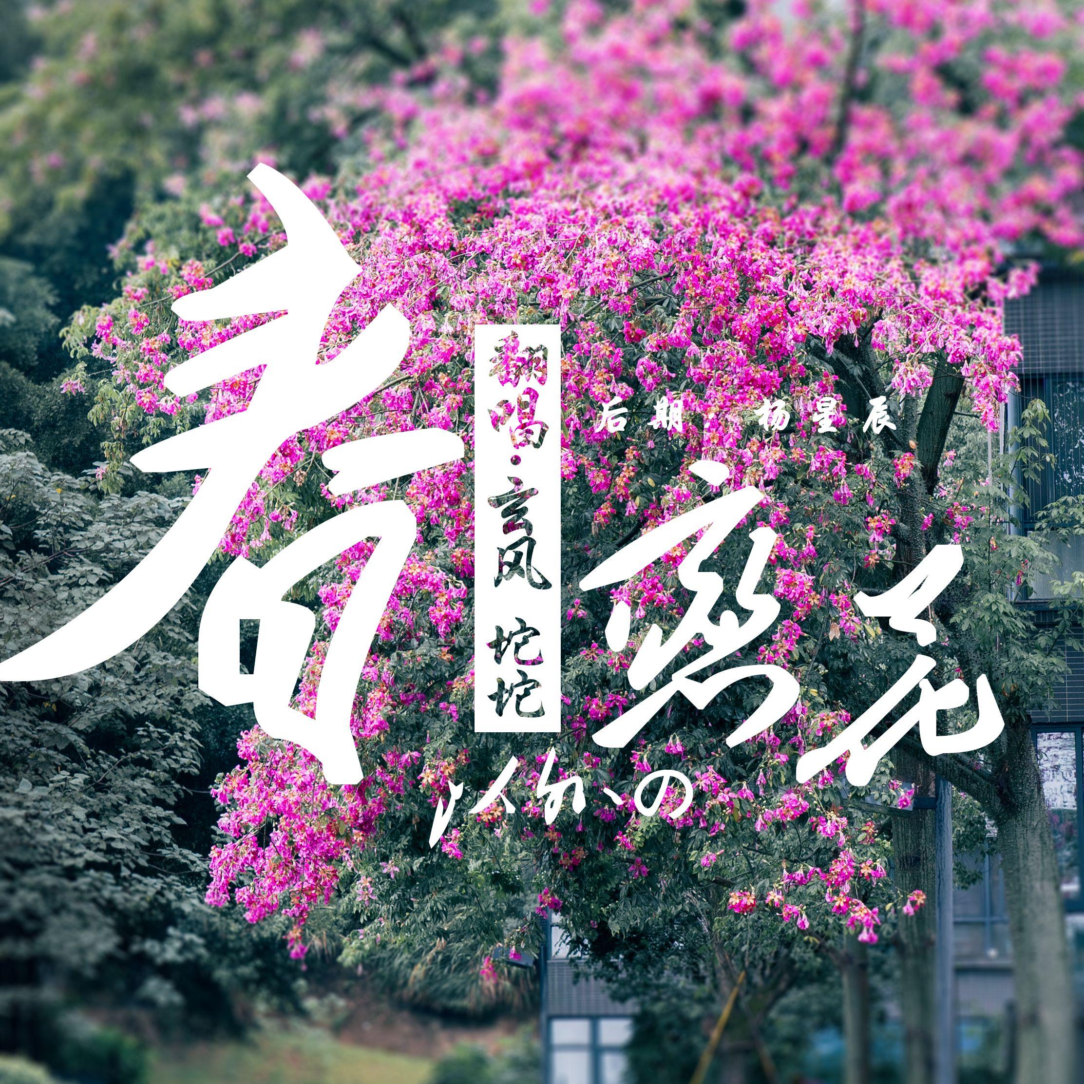 春、恋、花以外の