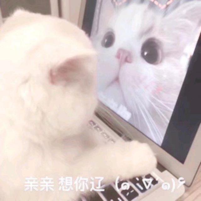 万有引力