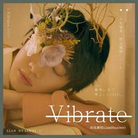 连淮伟-Vibrate
