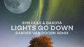 Lights Go Down (Sander van Doorn Remix)专辑