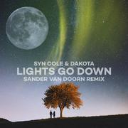 Lights Go Down (Sander van Doorn Remix)