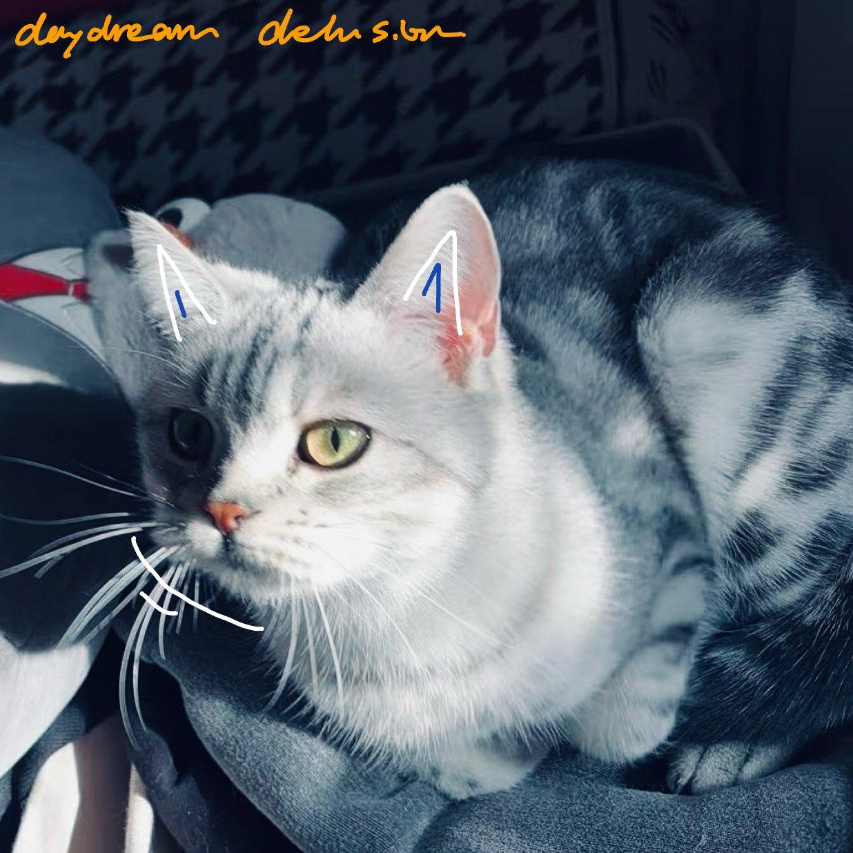 想想（Acoustic ver.）