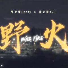 专辑《野火》