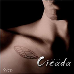 Cicada专辑