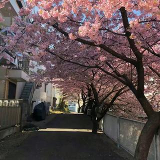 甜文/推文/校园/双女/暧昧
