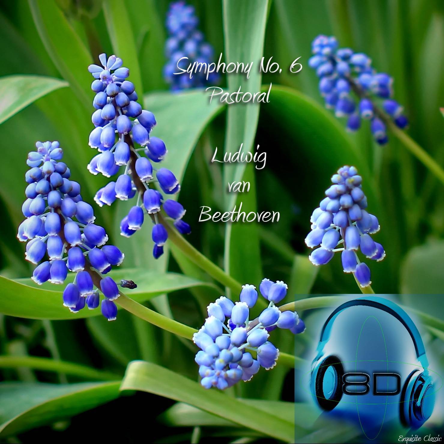 Symphony No. 6 In F Major, Op. 68 'Pastoral'- IV Allegro - Thunder, Storm - Ludwig Van Beethoven (8D Binaural Remastered - Music Therapy)