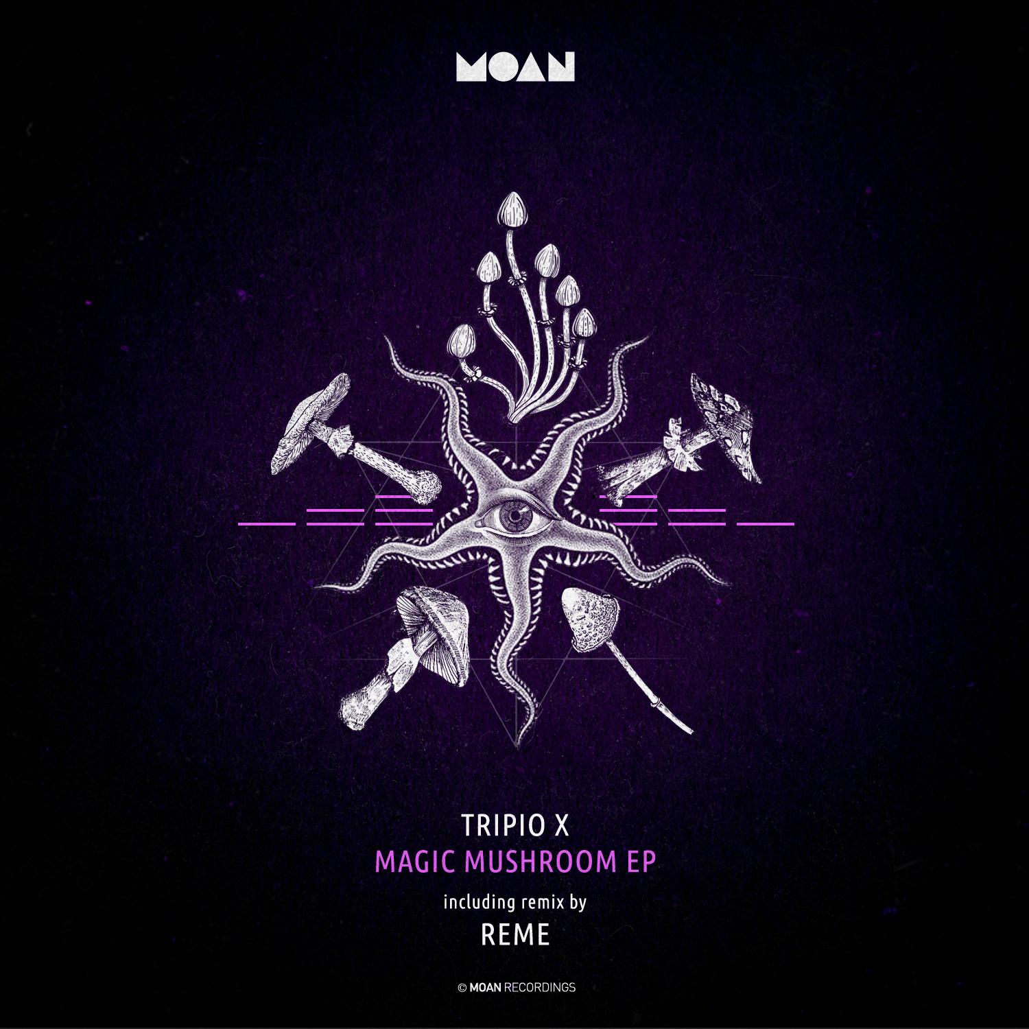 Magic Mushroom EP