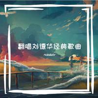 刘德华 - 冰雨（女版B调扒带和声版)