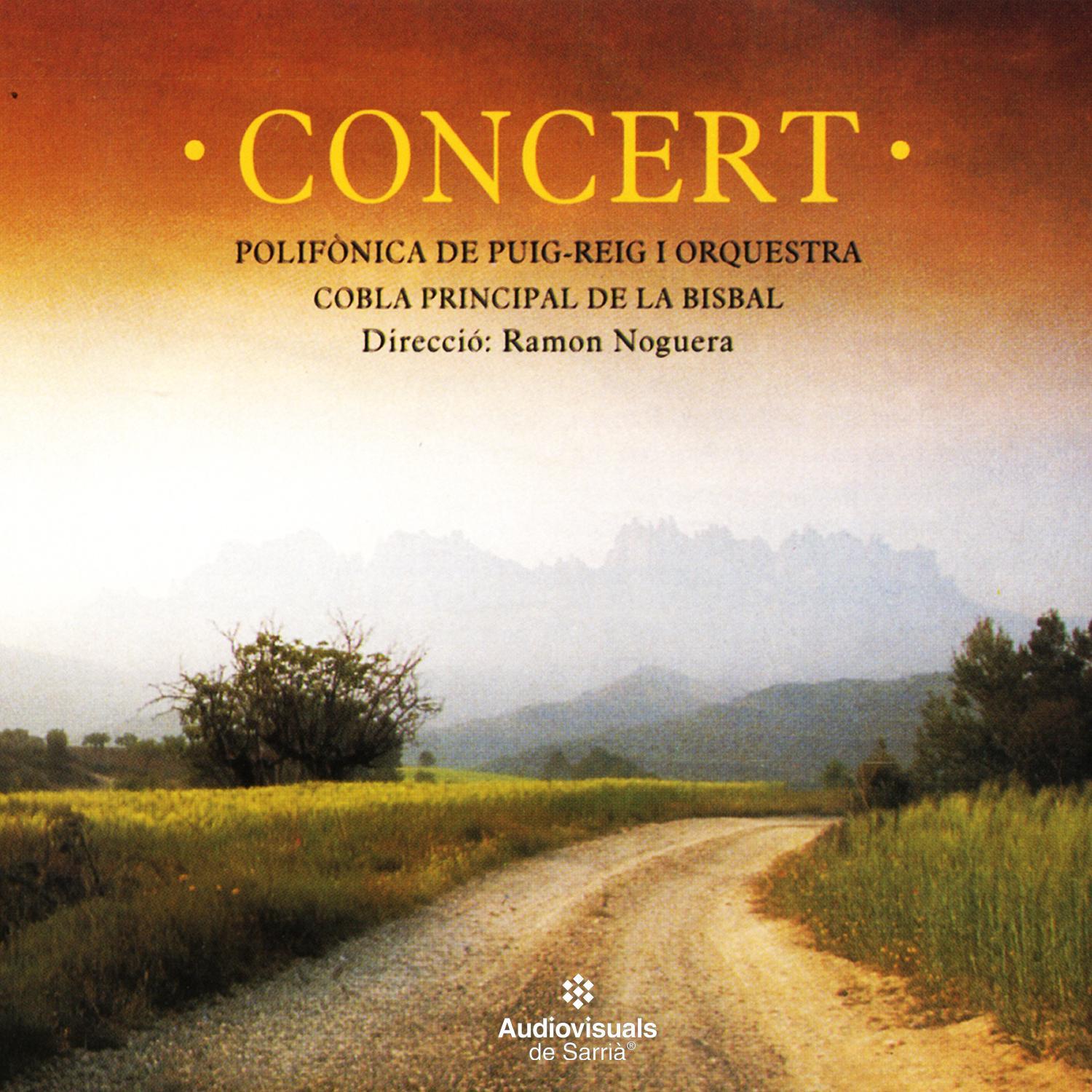 Concert
