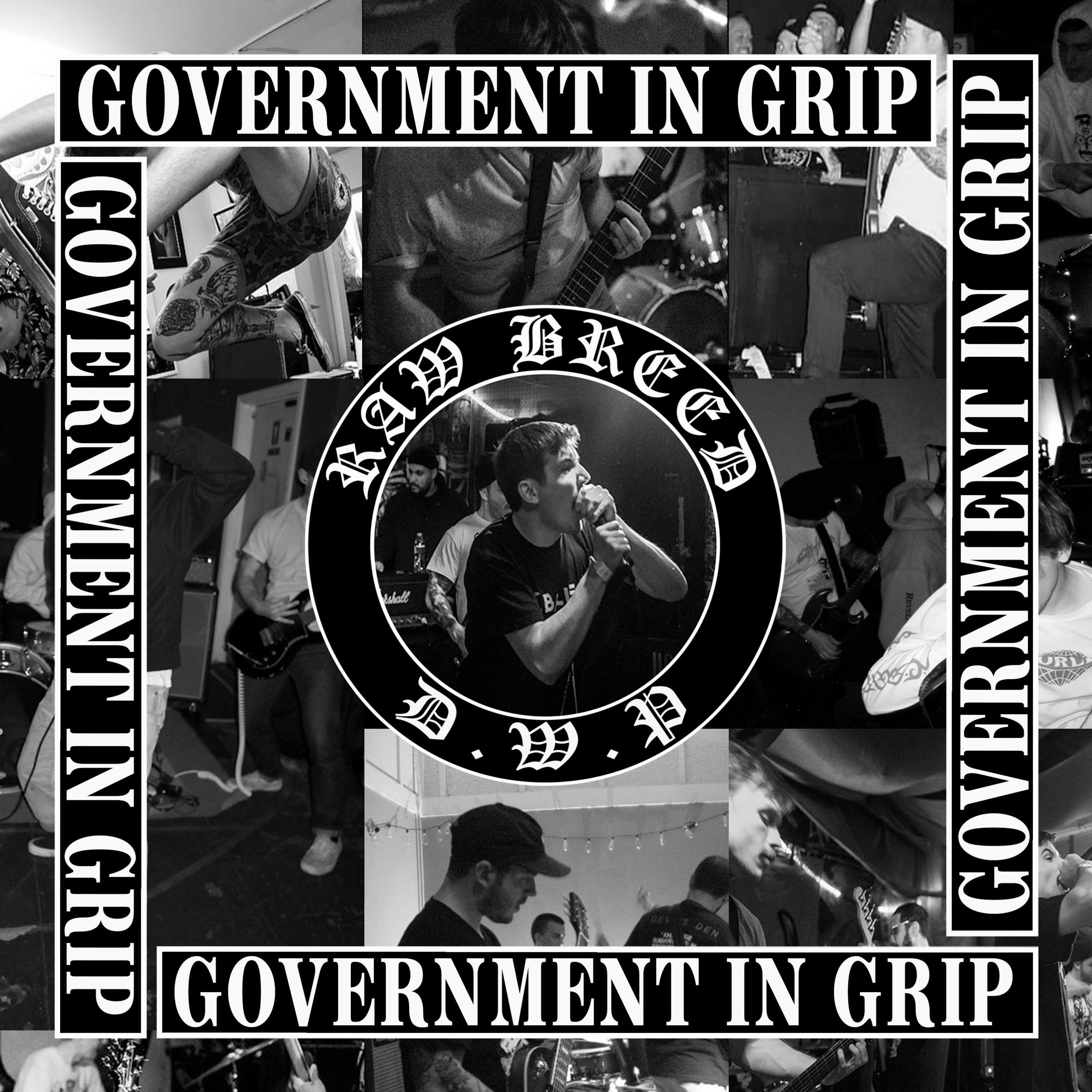 Government in Grip