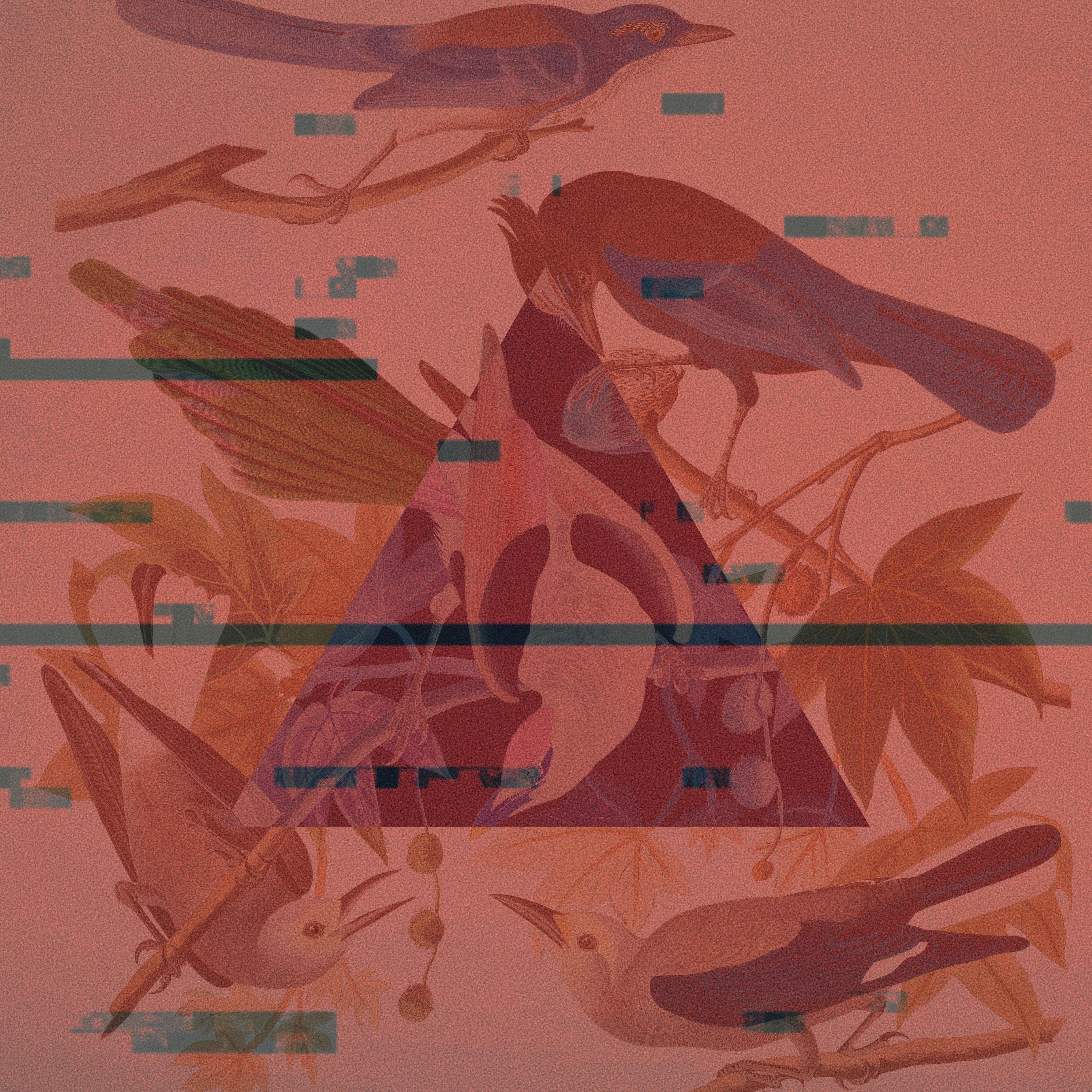 Ecstatic Forest