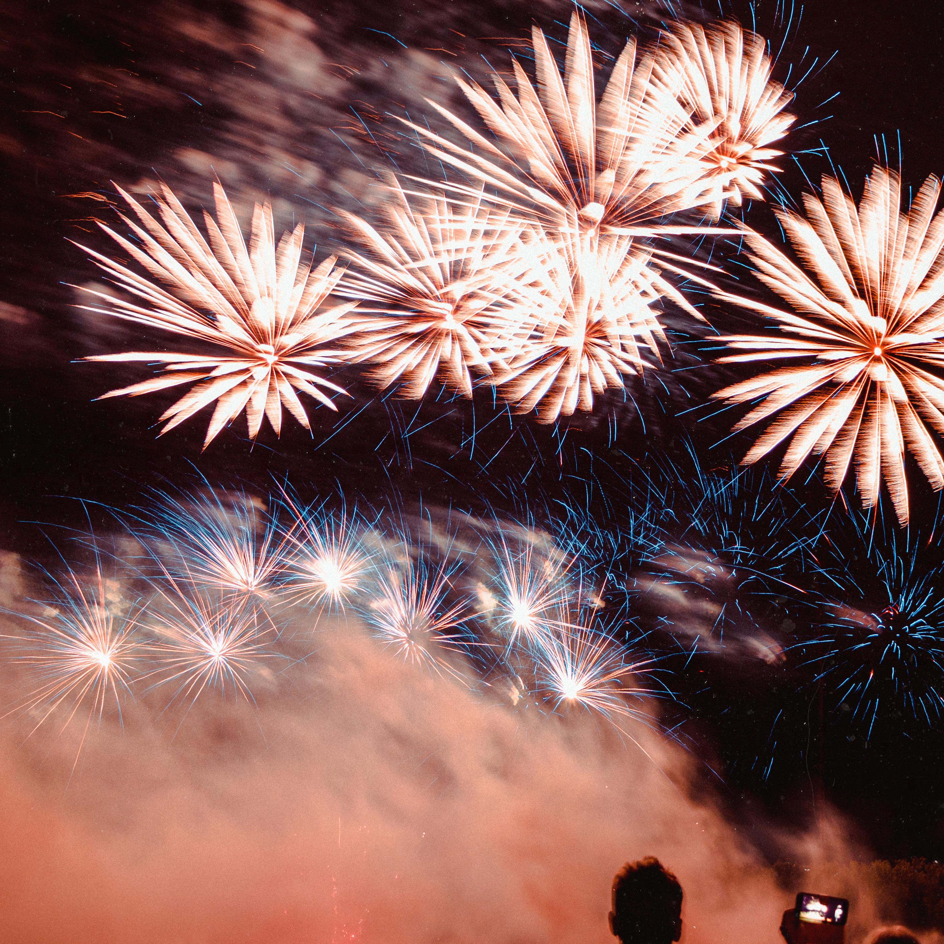 Animal Celebration
